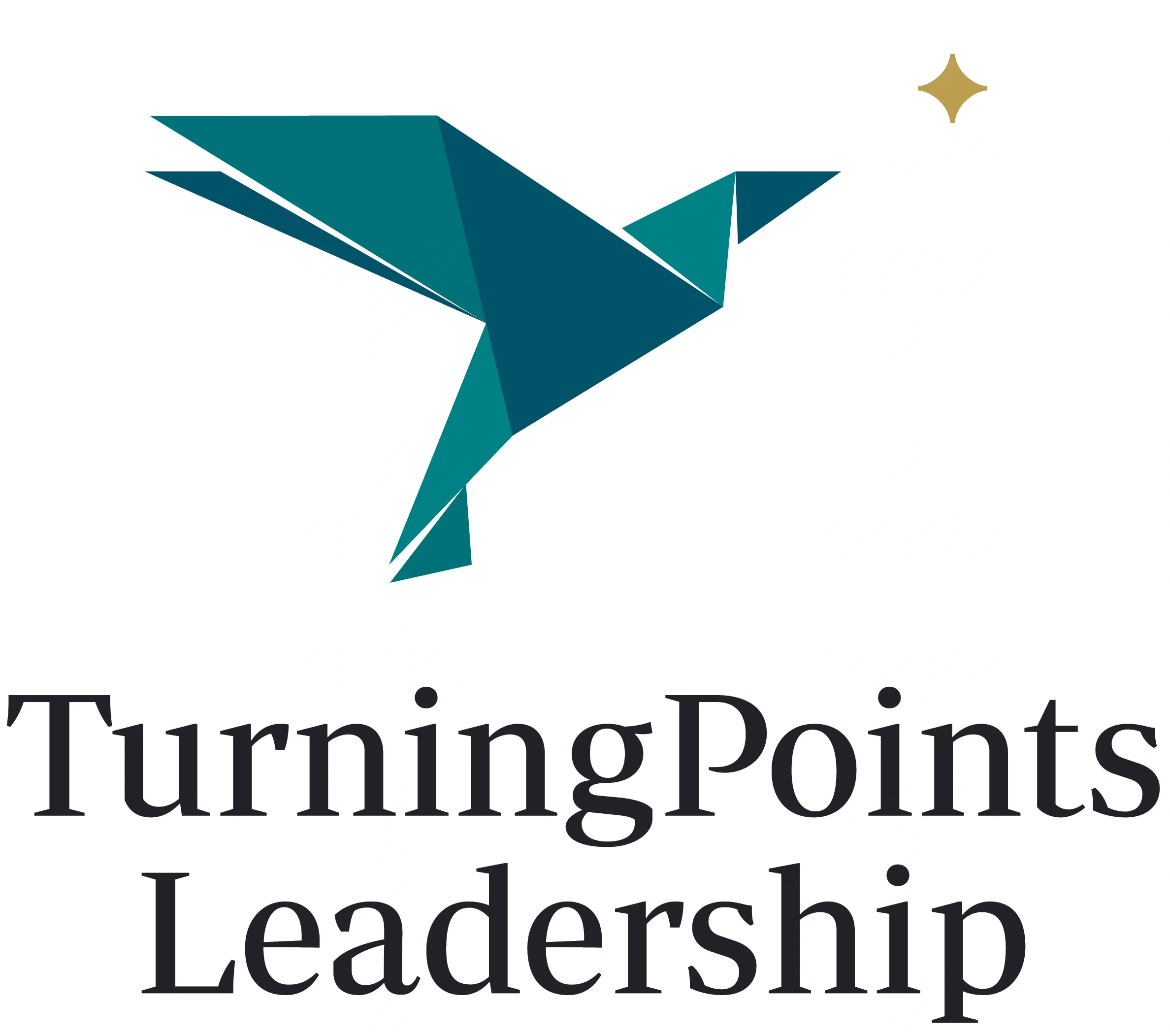 Logo of TurningPoint Leadership featuring a stylized bird and text.